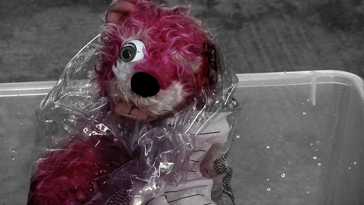 orsetto rosa esploso CinemaTown.it