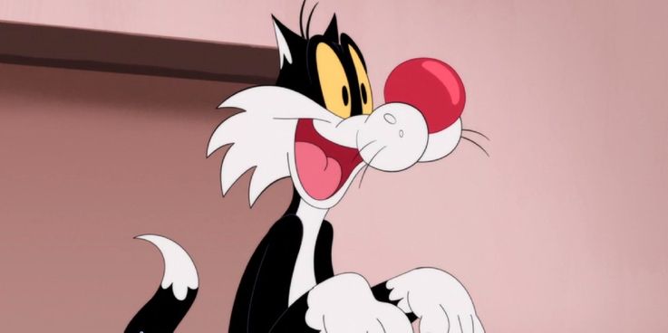gatto silvestro CinemaTown.it